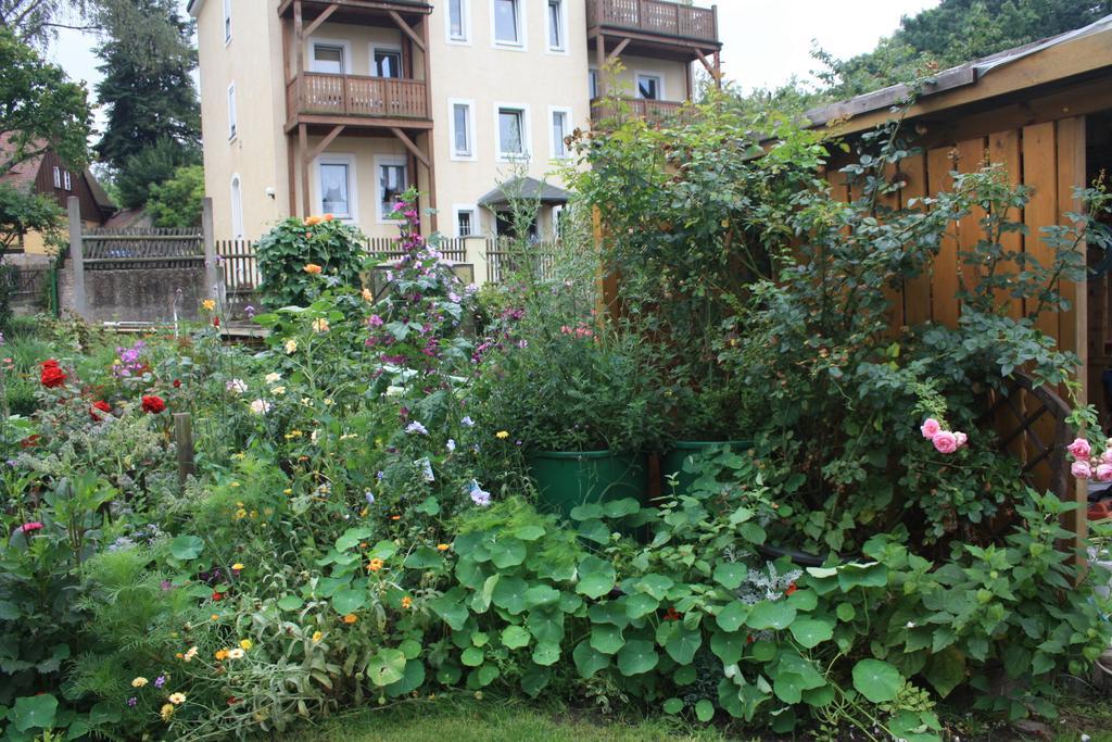 Romantik Landhaus Δρέσδη Εξωτερικό φωτογραφία